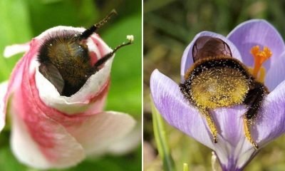 11 Strange Things That Will Improve Your Soil